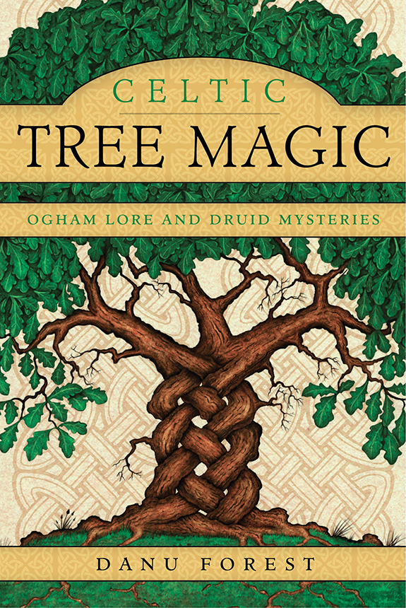 Celtic Tree Magic: Ogham Lore and Druid Mysteries