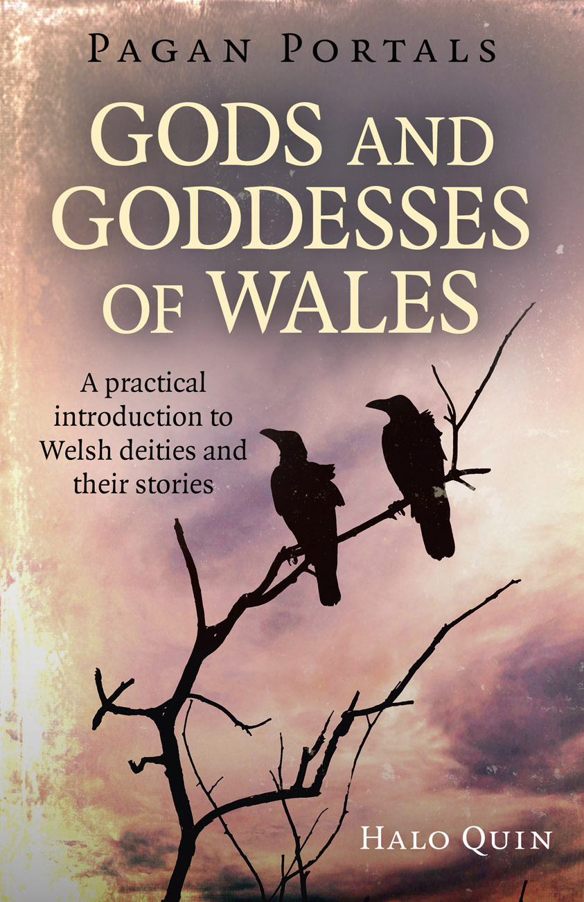 Pagan Portals--Gods and Goddesses of Wales