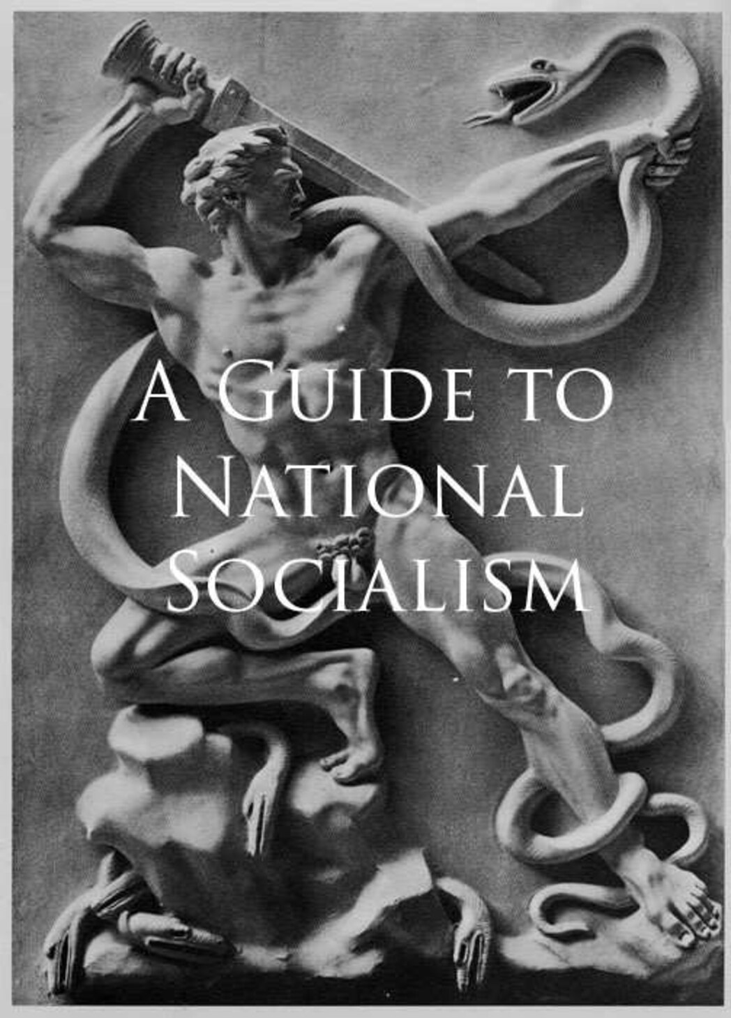 A Guide to National Socialism