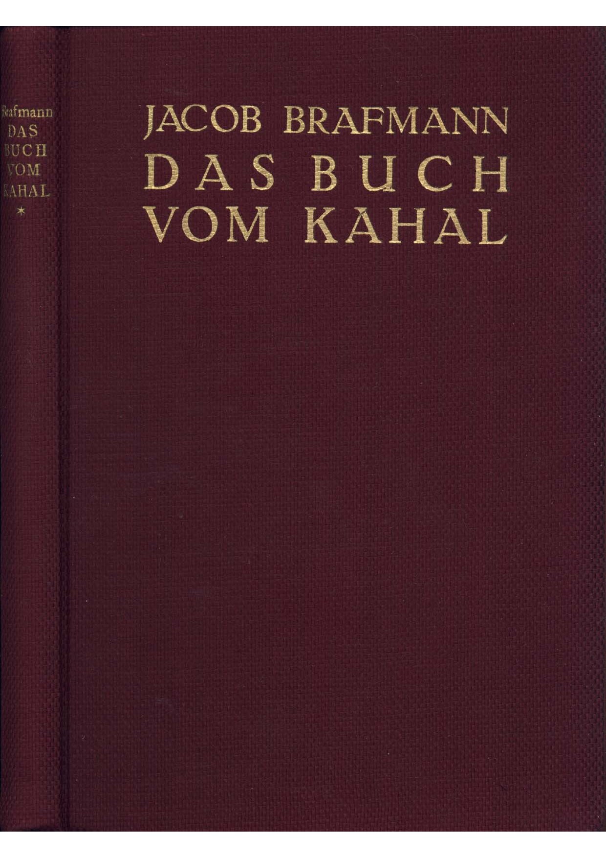 Das Buch vom Kahal - 1. Band (1928, 290 S., Scan, Fraktur)